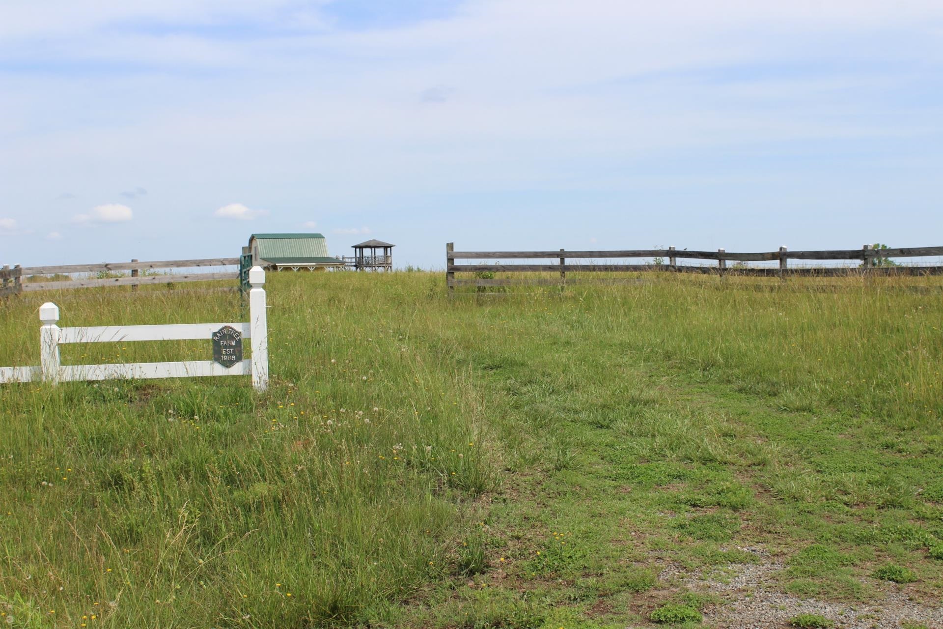 Lot 3 Ted Smith Road Rutherfordton, NC 28139 - Photo 6 of 19