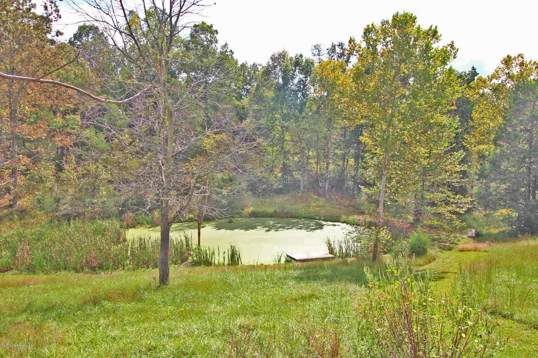 1161 Dennis Road Lawrenceburg, KY 40342 - Photo 3 of 8 Stocked Pond