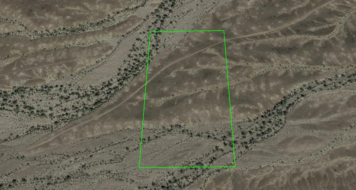 a view of a dry yard