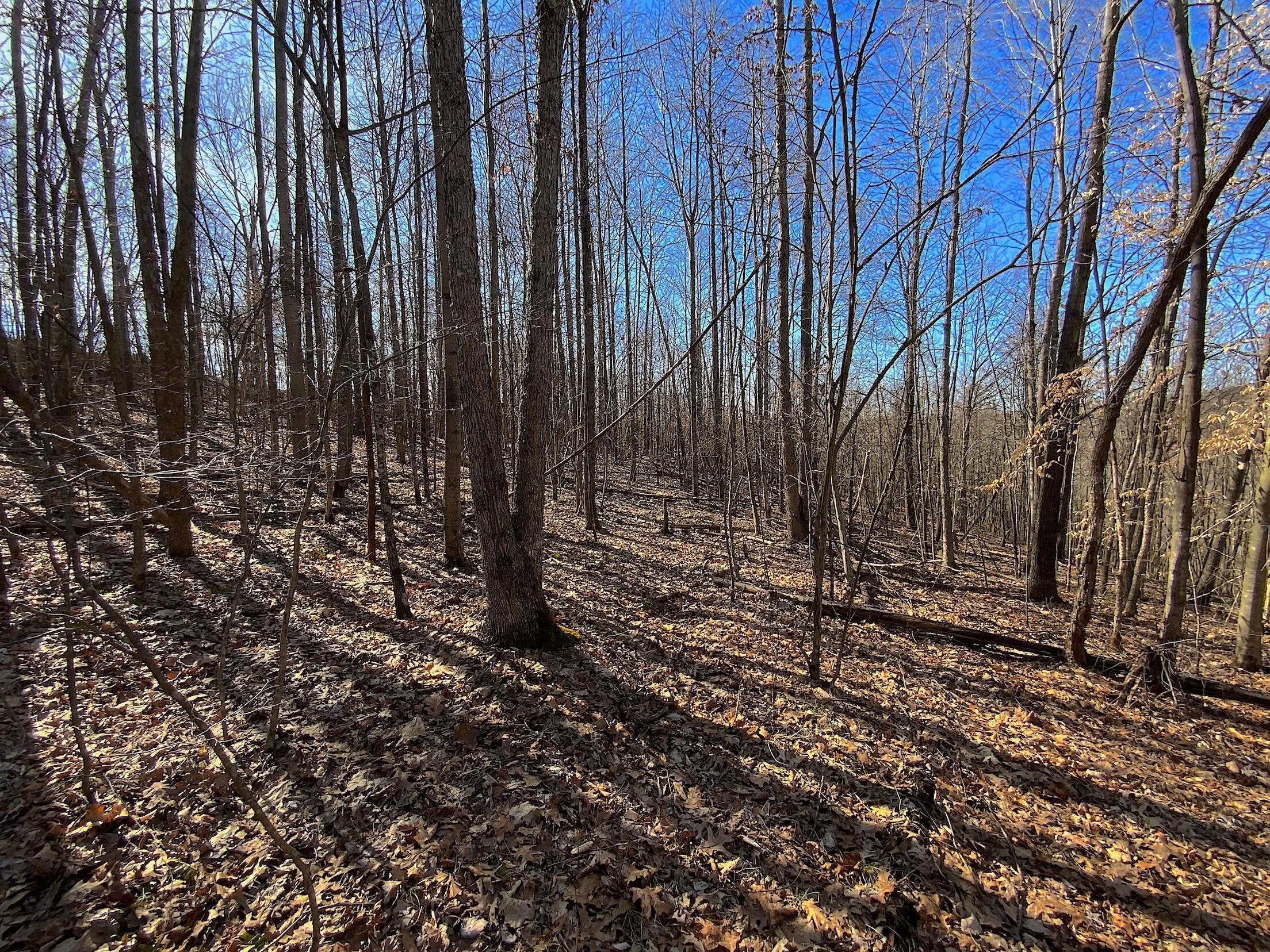0 Kelly Road Ray, OH 45672 - Photo 10 of 46 Vinton County Kelly Rd 9