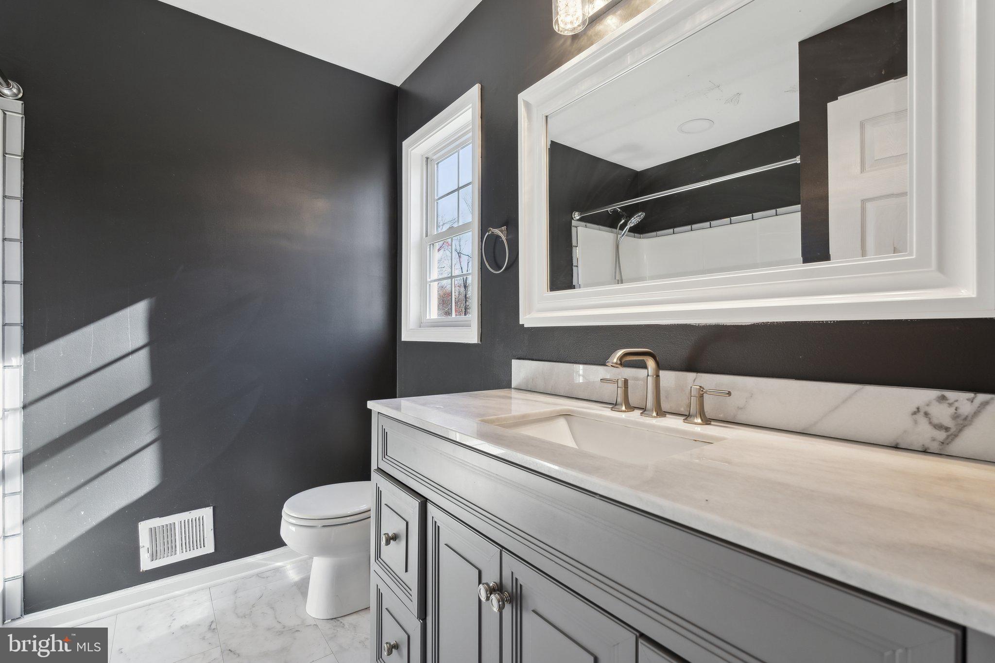 6169 Vance Lane Culpeper, VA 22701 - Photo 20 of 44 a bathroom with a sink a toilet and a mirror