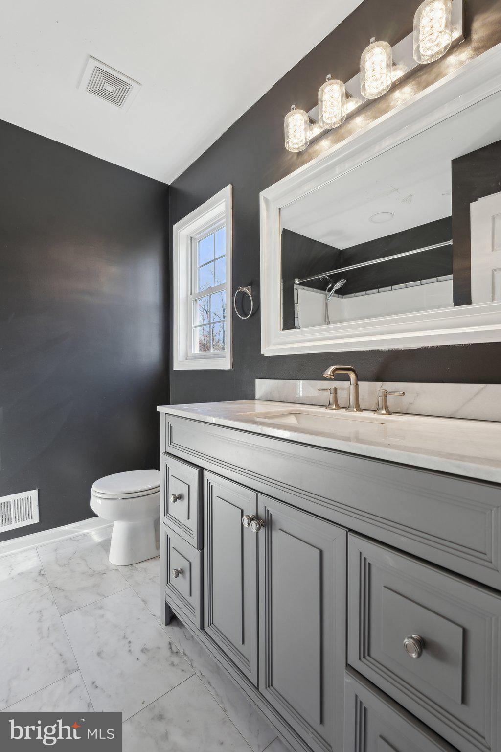 6169 Vance Lane Culpeper, VA 22701 - Photo 21 of 44 a bathroom with a toilet a sink and mirror