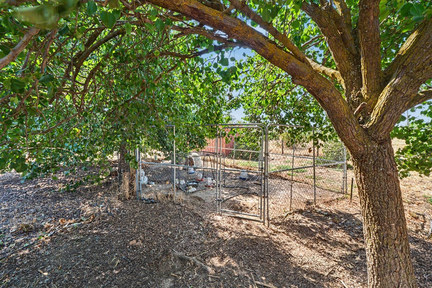 17112 Monreal Road Madera, CA 93636 - Photo 28 of 45 Gallery Image 28