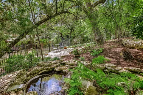 a view of a forest with trees