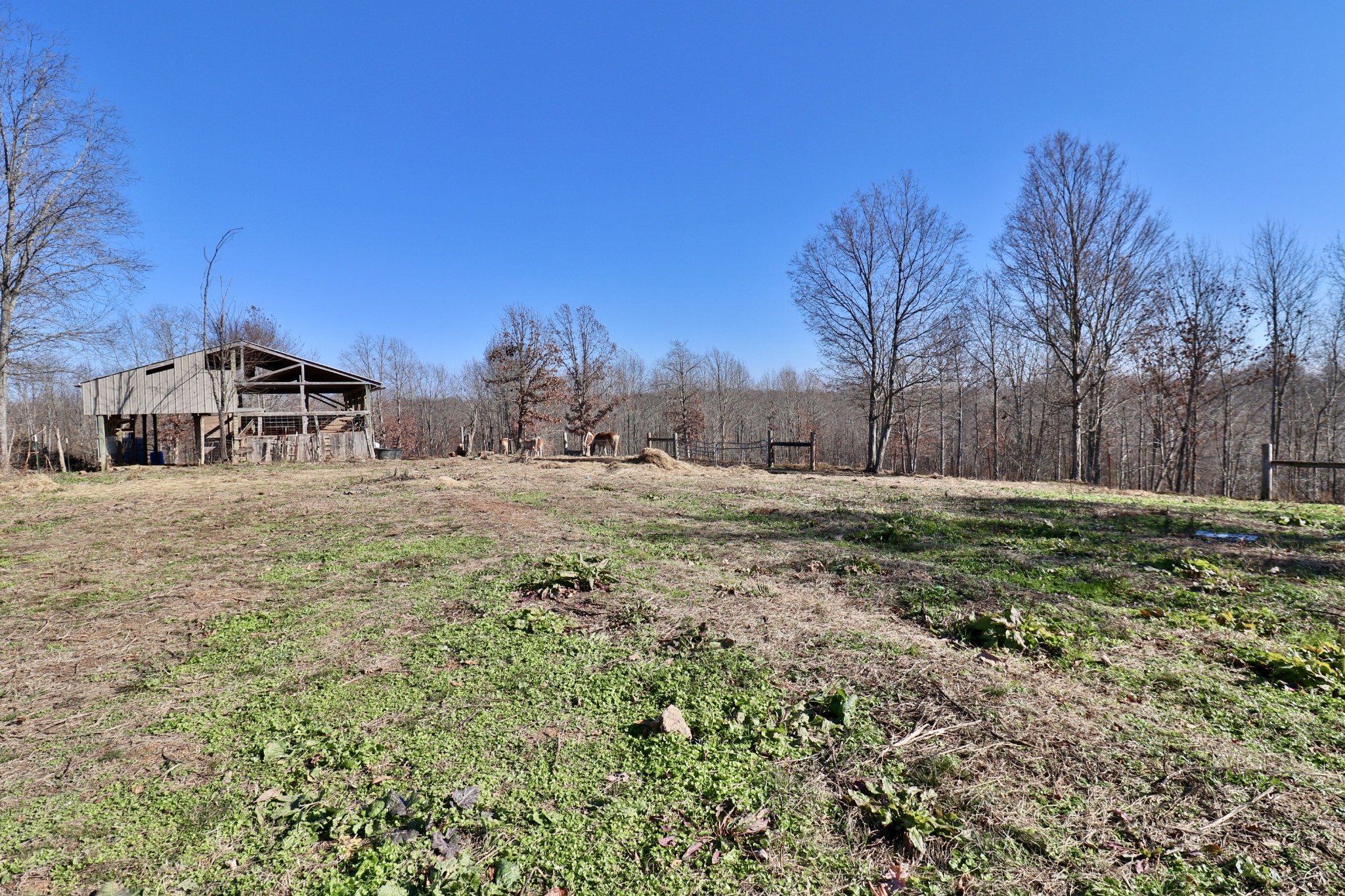 4561 Mayberry Prong Road Linden, TN 37096 - Photo 23 of 27 a view of a yard with a house