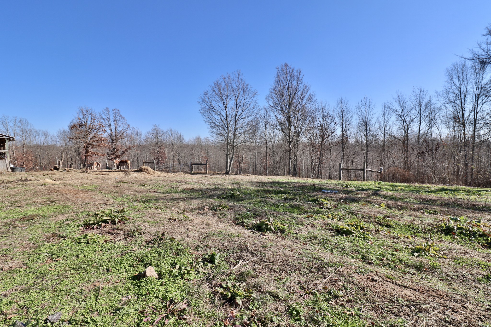 4561 Mayberry Prong Road Linden, TN 37096 - Photo 24 of 27 a view of dirt field with trees in the background