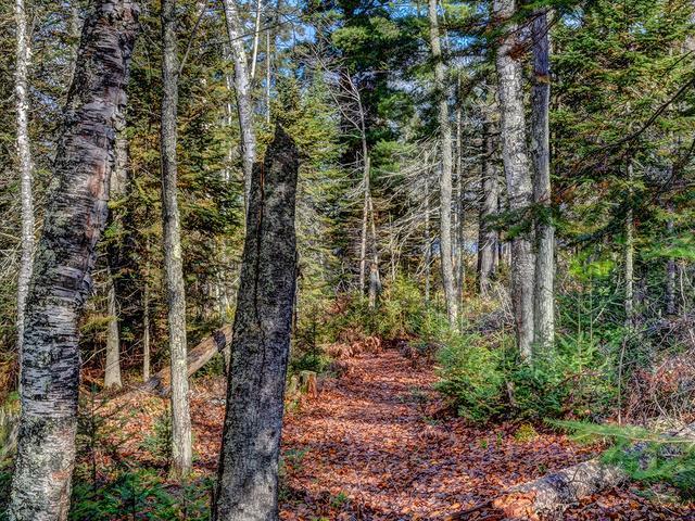 Near1594 Dollar Lake Road Eagle River, WI 54521 - Photo 15 of 16 Gallery Image 15