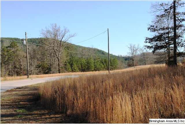 Mount Eagle Lane, Unit 2 Weaver, AL 36277 - Photo 25 of 26