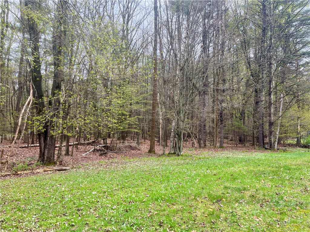 119 Larson Road Maryland, NY 12116 - Photo 18 of 30