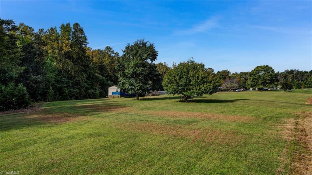 10541 Highway 158 Ruffin, NC 27326 - Photo 4 of 9