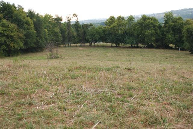 5844 Fords Mill Road Versailles, KY 40383 - Photo 13 of 58 Photo 13