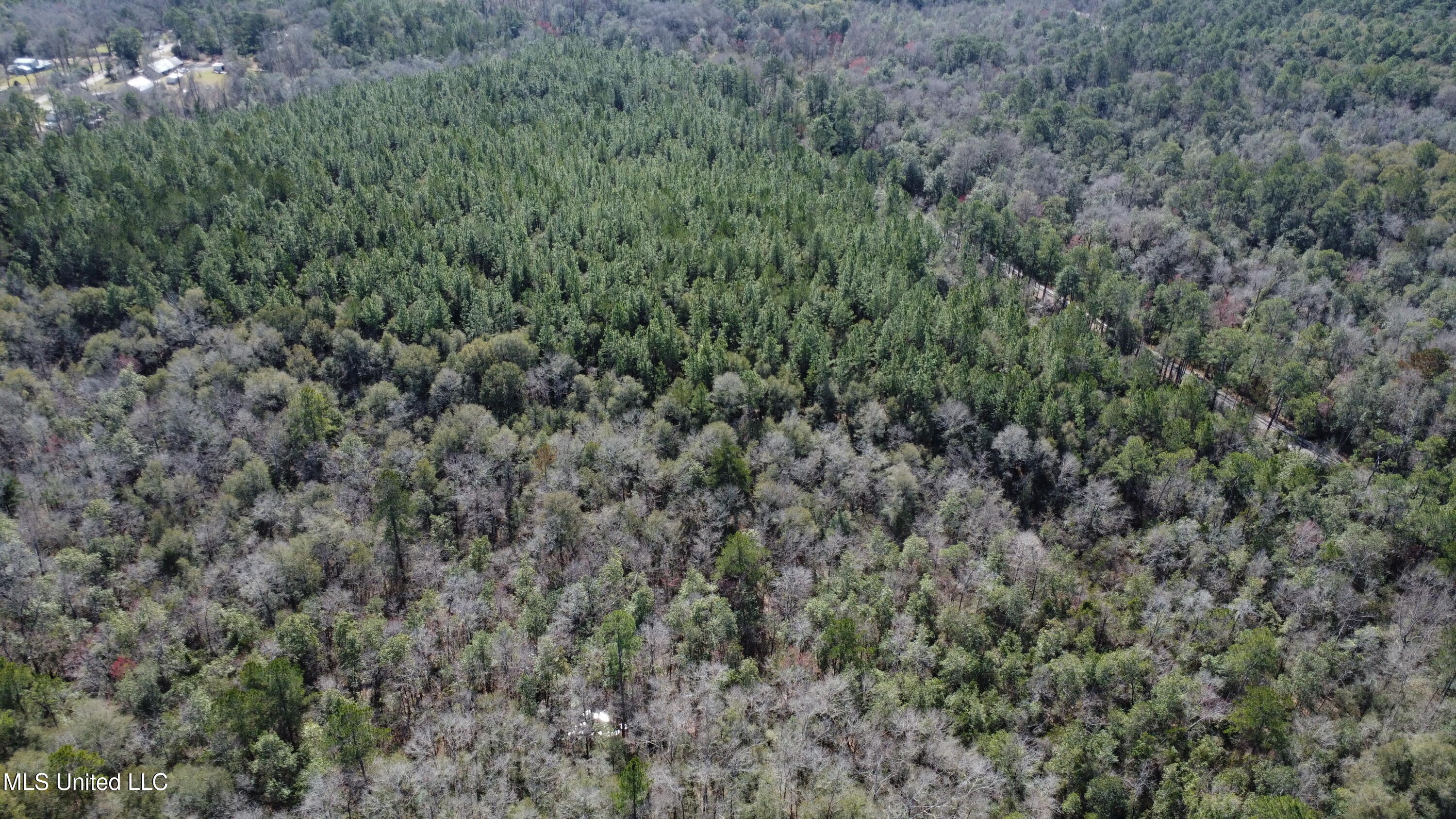 Beaver Dam Road Lucedale, MS 39452 - Photo 14 of 14 DJI_0207