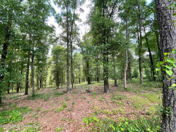 $112,500 | Beaver Dam Road, Lucedale, MS 39452