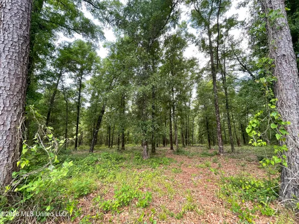 $112,500 | Beaver Dam Road, Lucedale, MS 39452