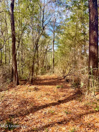 $112,500 | Beaver Dam Road, Lucedale, MS 39452