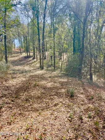 $112,500 | Beaver Dam Road, Lucedale, MS 39452