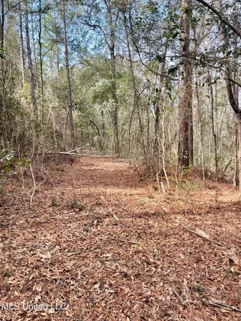 $112,500 | Beaver Dam Road, Lucedale, MS 39452