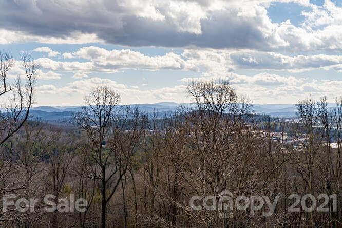 118 Laurel Road Arden, NC 28704 - Photo 29 of 44 Gallery Image 29