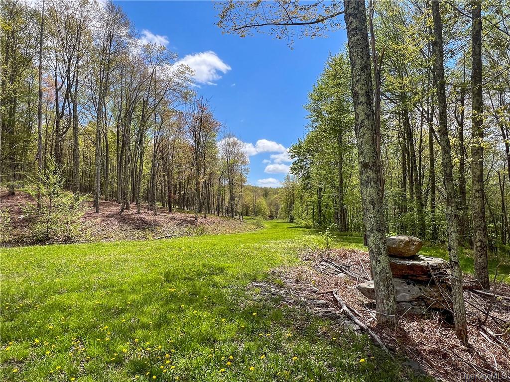 0 Rt-28 Andes, NY 13731 - Photo 13 of 36 a view of a backyard with sitting area