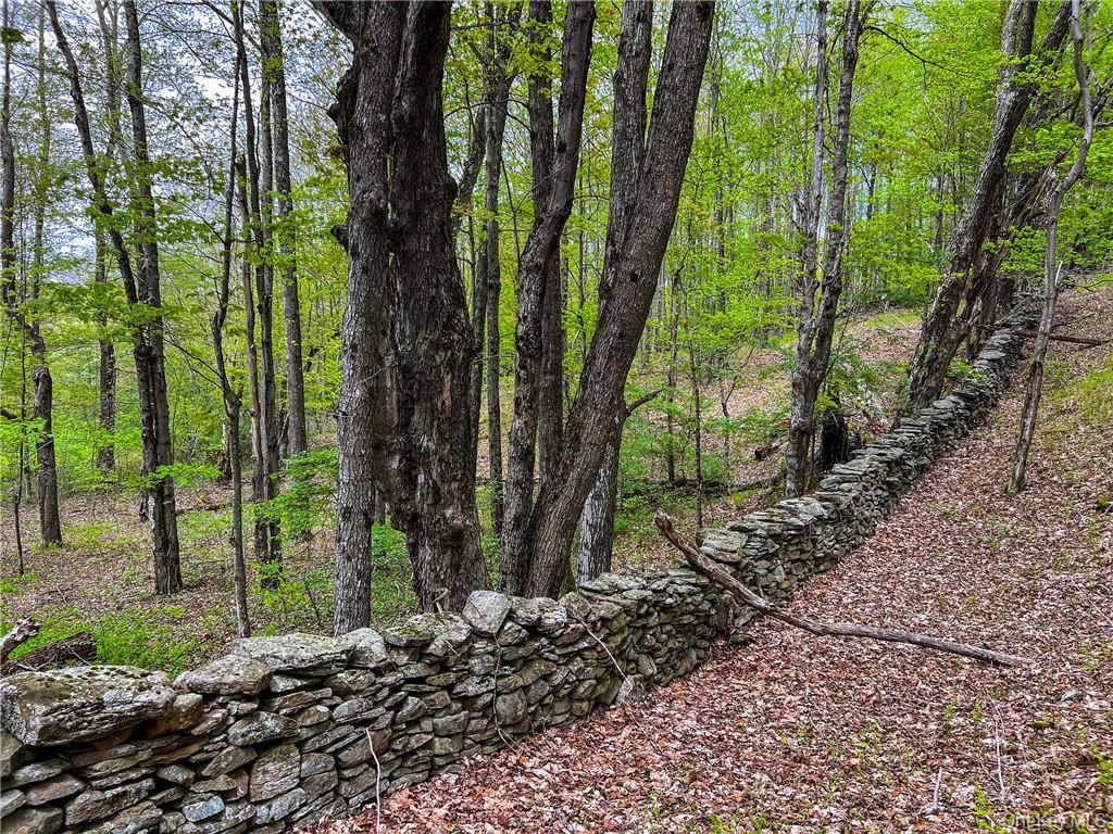 0 Rt-28 Andes, NY 13731 - Photo 18 of 36 a backyard of a house with lots of trees