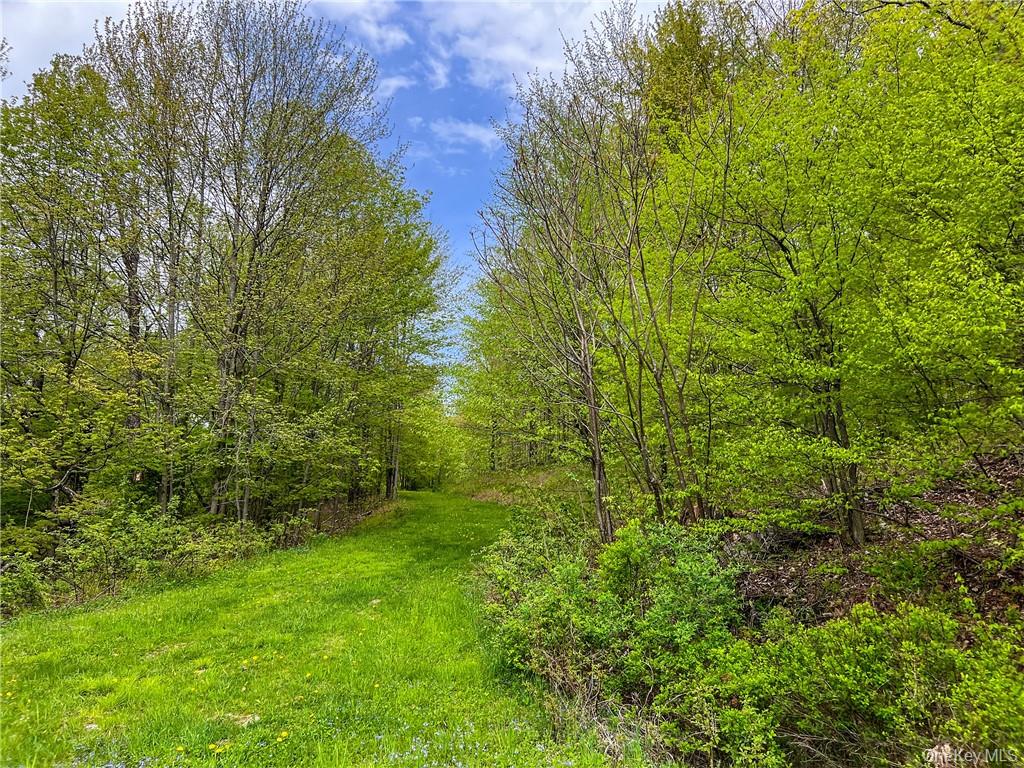 0 Rt-28 Andes, NY 13731 - Photo 19 of 36 a view of a garden