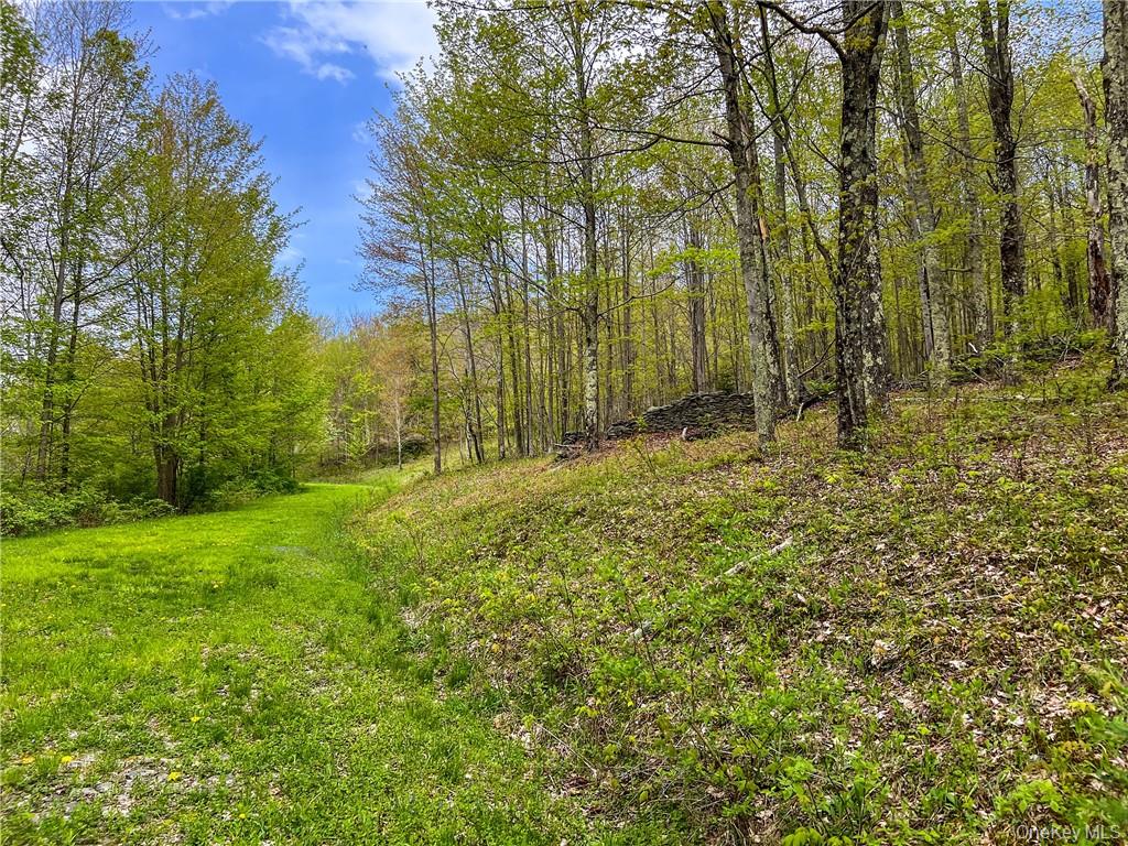 0 Rt-28 Andes, NY 13731 - Photo 20 of 36 a large yard with lots of green space and house