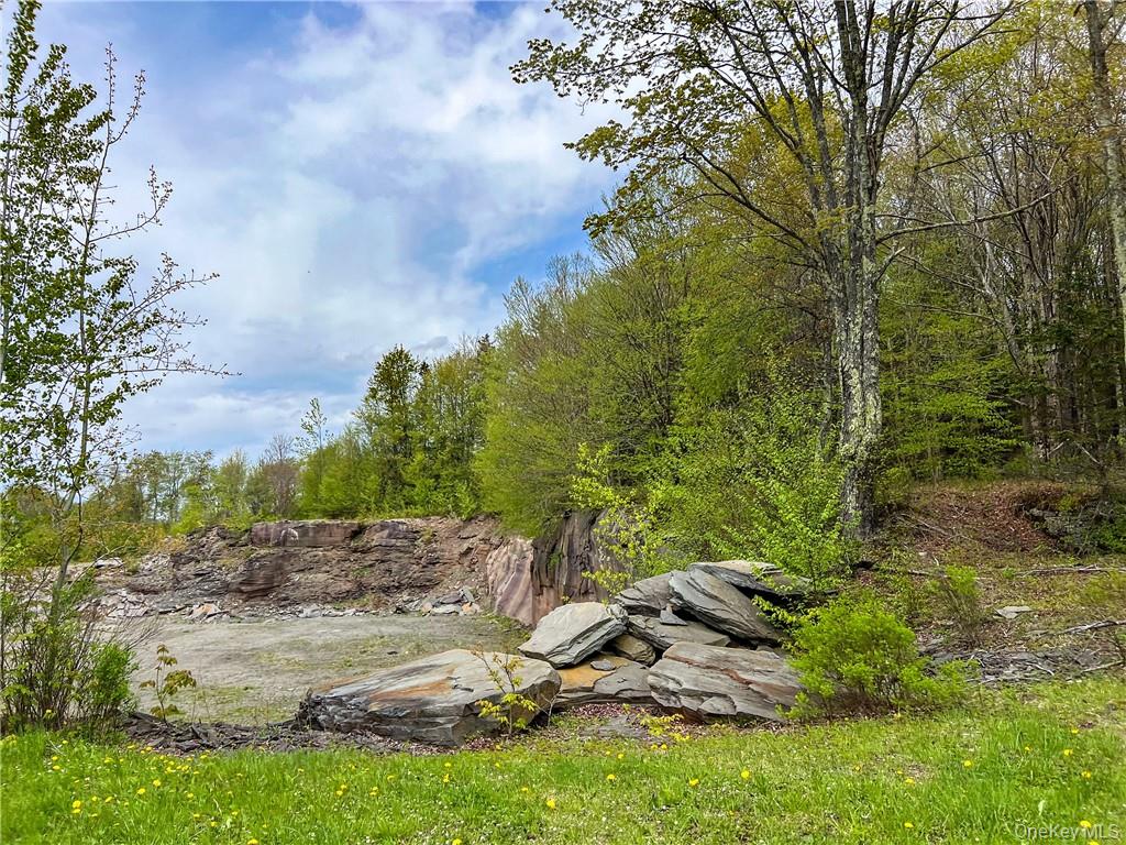 0 Rt-28 Andes, NY 13731 - Photo 23 of 36 a view of yard