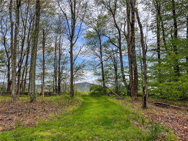 $670,000 | 0 Rt-28, Andes, NY 13731