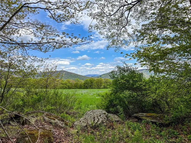 $670,000 | 0 Rt-28, Andes, NY 13731