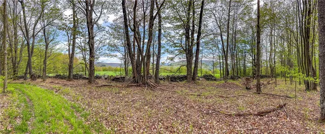 $670,000 | 0 Rt-28, Andes, NY 13731