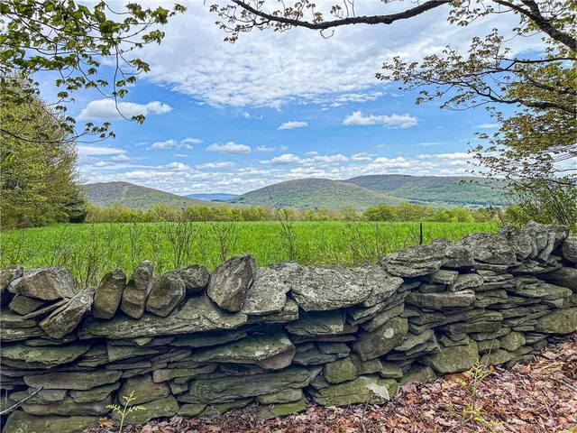 $670,000 | 0 Rt-28, Andes, NY 13731