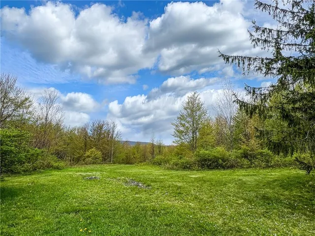 $670,000 | 0 Rt-28, Andes, NY 13731