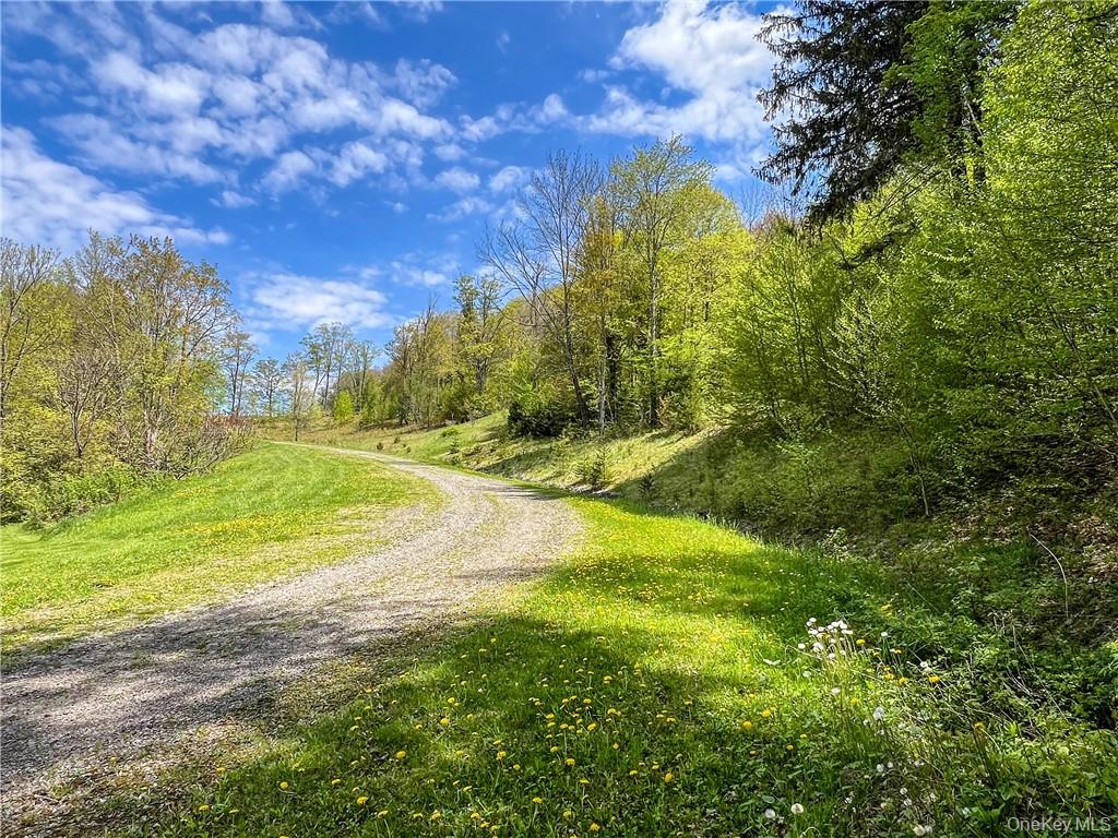 0 Rt-28 Andes, NY 13731 - Photo 3 of 36 a view of yard with swimming pool and green space