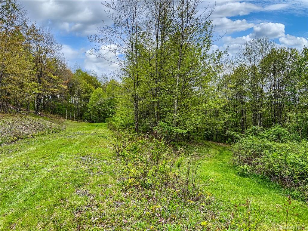 0 Rt-28 Andes, NY 13731 - Photo 33 of 36 a view of an outdoor space and a yard