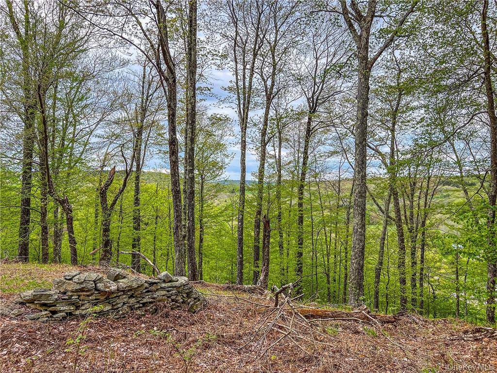 0 Rt-28 Andes, NY 13731 - Photo 34 of 36 a view of backyard