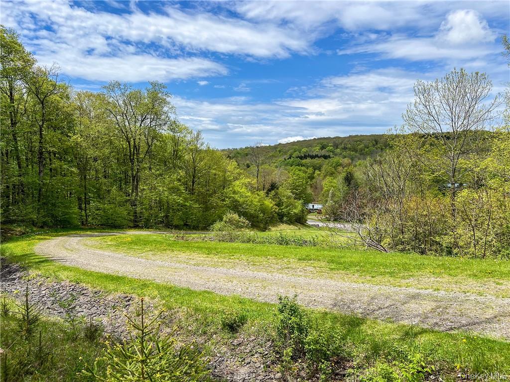 0 Rt-28 Andes, NY 13731 - Photo 5 of 36 a view of a yard with an trees