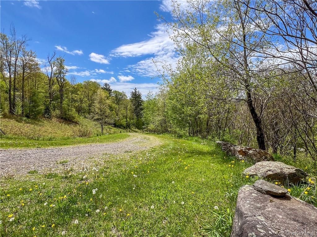0 Rt-28 Andes, NY 13731 - Photo 6 of 36 a view of a yard with a tree
