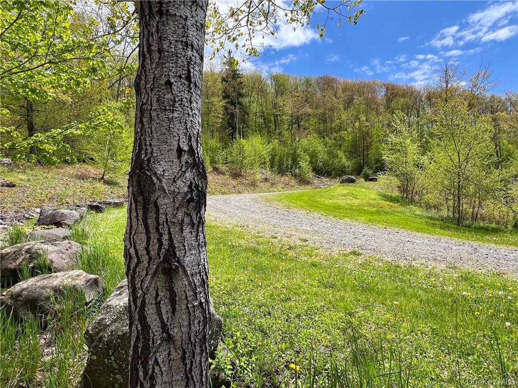 0 Rt-28 Andes, NY 13731 - Photo 8 of 36 a view of a yard with a tree