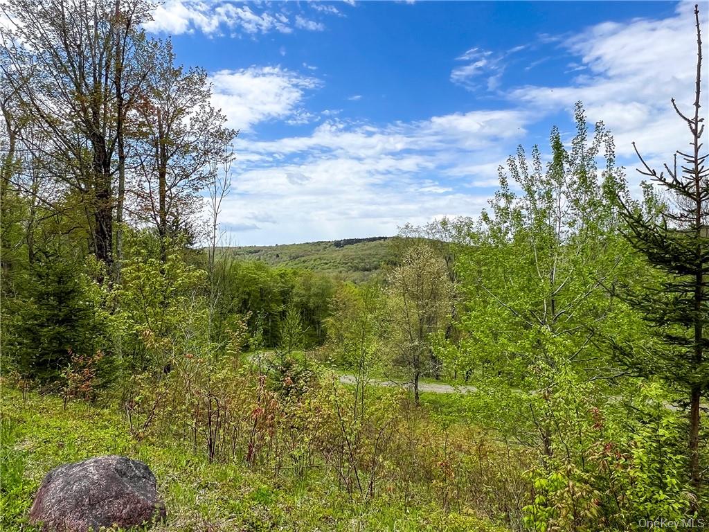 0 Rt-28 Andes, NY 13731 - Photo 10 of 36 a view of a garden