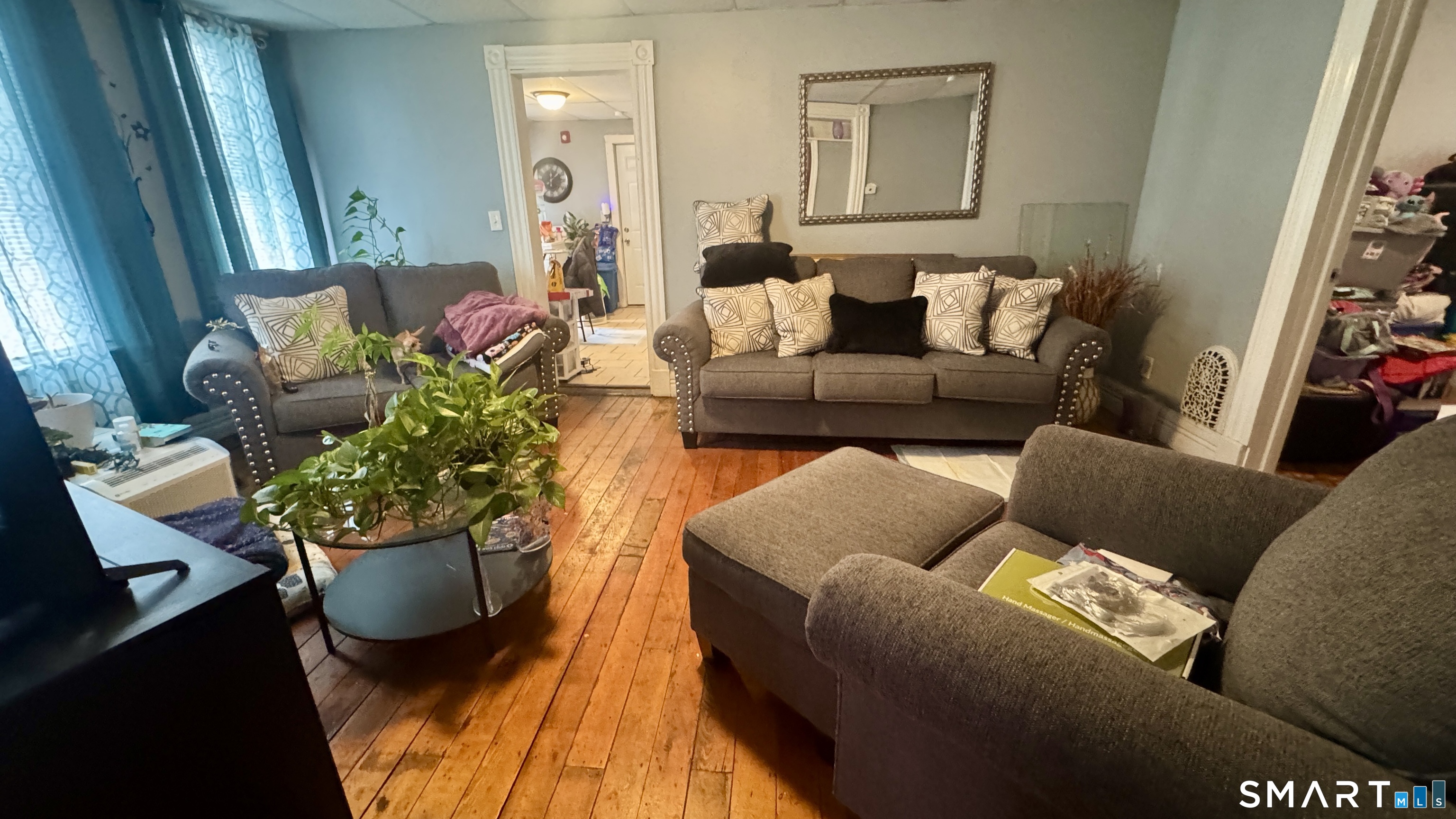 61 Randolph Avenue Meriden, CT 06451 - Photo 11 of 40 a living room with furniture and a potted plant