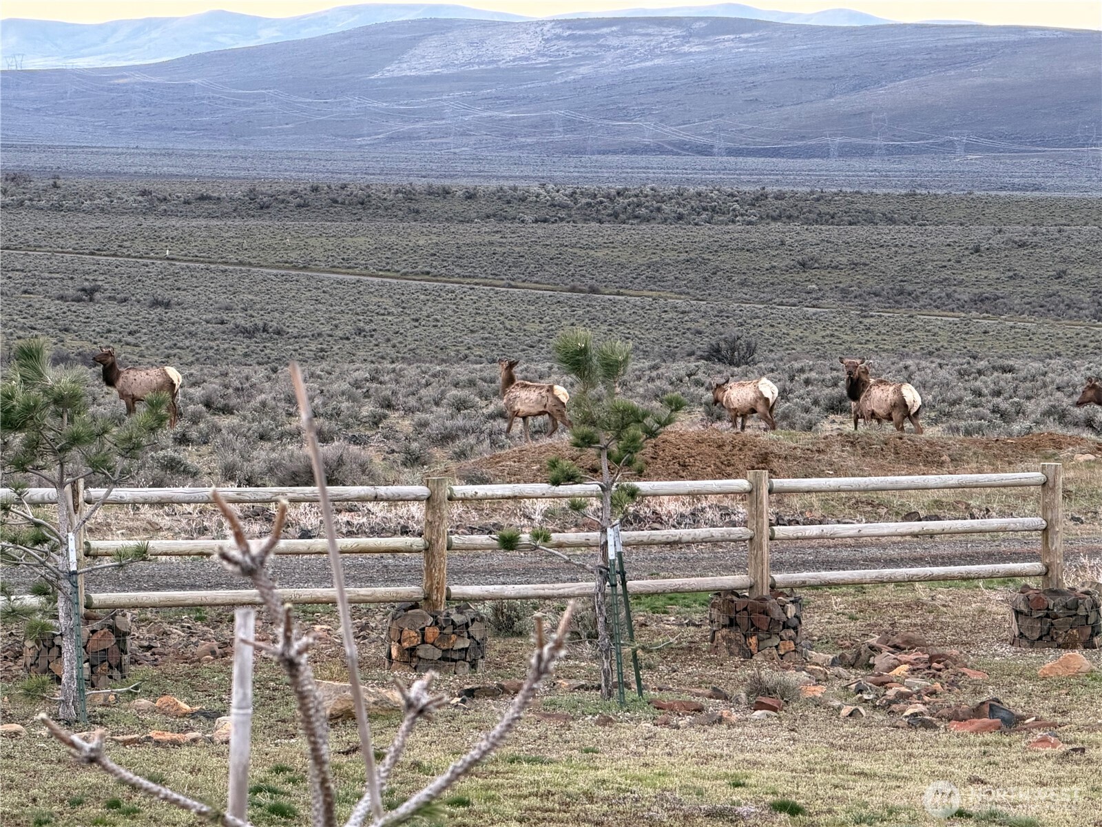 1235 Secret Canyon Road Ellensburg, WA 98926 - Photo 29 of 38