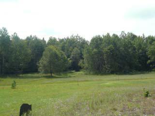 7031 South Custer Road Custer, MI 49405 - Photo 9 of 12 Additional Photo