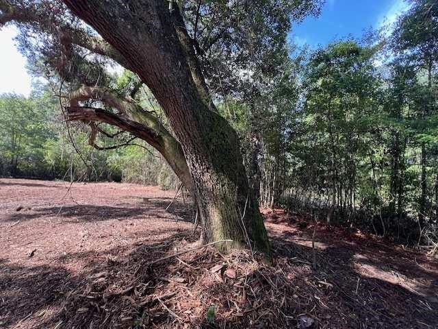 3-ac Laird Road Florala, AL 36442 - Photo 8 of 21 Gallery Image 8