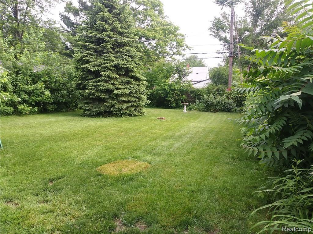 8521 Harding Street Center Line, MI 48015 - Photo 12 of 12 Yard.jpg