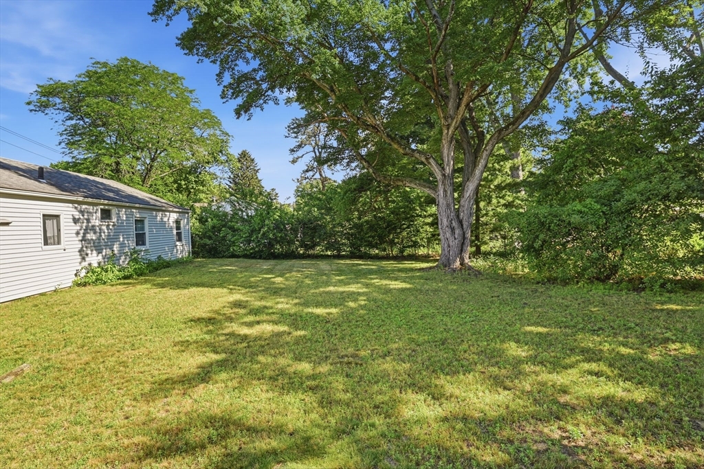 291 Old Farm Road Springfield, MA 01119 - Photo 32 of 34