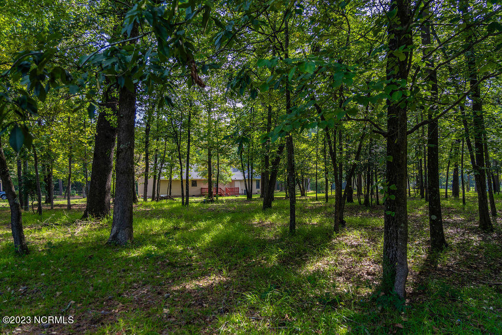 384 Morrison Bridge Road Vass, NC 28394 - Photo 14 of 53 back yard