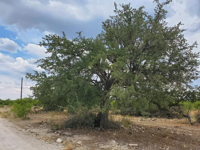 $285,435 | 4034 Cave Wells Road, Unit 14, Fort McKavett, TX 76841