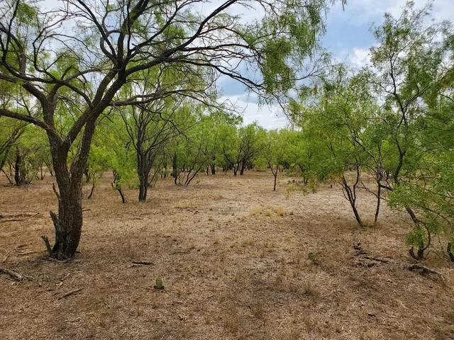 $285,435 | 4034 Cave Wells Road, Unit 14, Fort McKavett, TX 76841