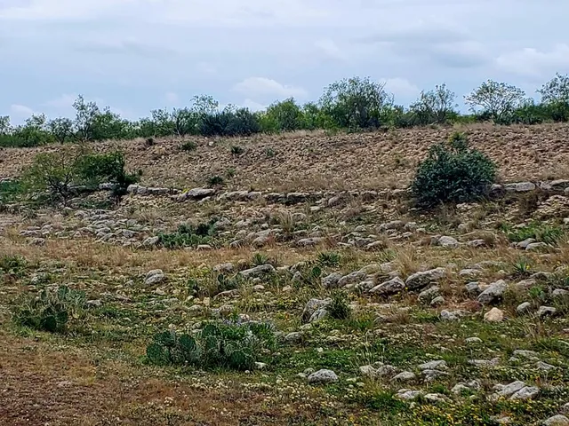 $285,435 | 4034 Cave Wells Road, Unit 14, Fort McKavett, TX 76841