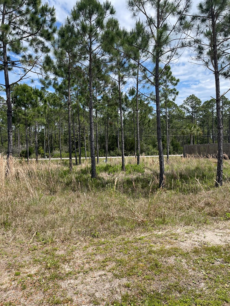 24 Shallow Reed Drive Port St. Joe, FL 32456 - Photo 4 of 6 Gallery Image 4